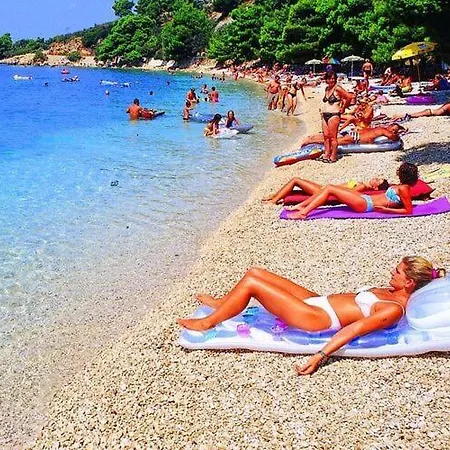 Vesna - Cdm05026-dyd Podgora (Split-Dalmatia)